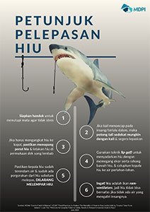 poster_shark_release