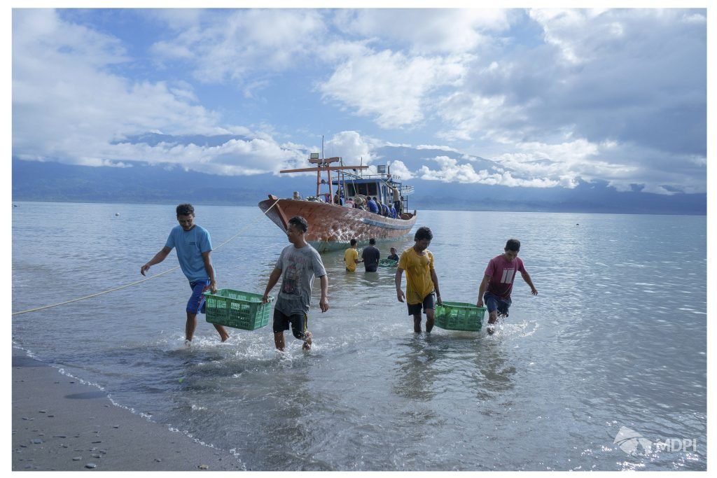 Kapal purse seine