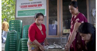 Situasi transaksi jual beli ikan hasil tangkapan nelayan. Ibu-ibu pengurus koperasi saling bahu membahu dalam menjalankan bisnisnya.