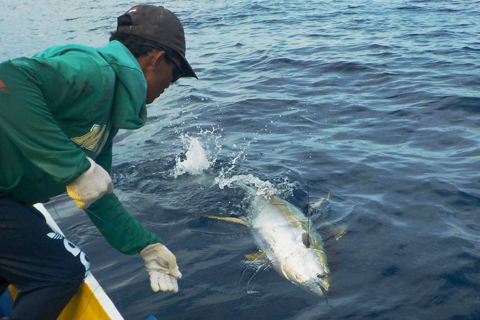 Tuna Handline Fishing in Philippines to Meet Marine Stewardship Council  Sustainability Criteria — Gaia Discovery